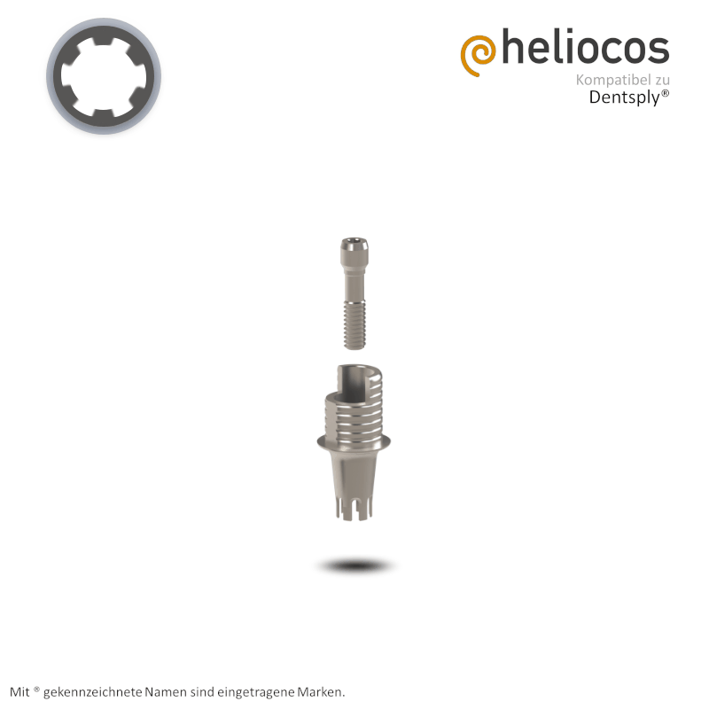 Dentsply® Titanbasis Ankylos® | Höhe: 4,0 mm | mit Rotationsschutz