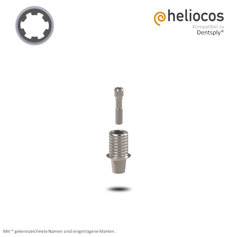 Dentsply® Titanbasis Ankylos® | Höhe: 4,0 mm | ohne Rotationsschutz